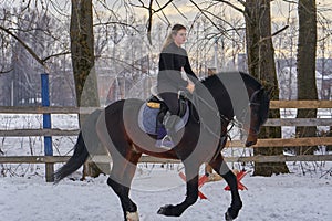 A girl on a horse jumps gallops. A girl trains riding a horse in a small paddock. A cloudy winter day