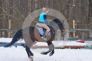 A girl on a horse jumps gallops. A girl trains riding a horse in a small paddock. A cloudy winter day