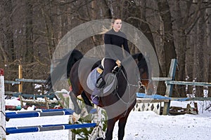 A girl on a horse jumps over the barrier. Training girl jockey riding a horse. A cloudy winter day