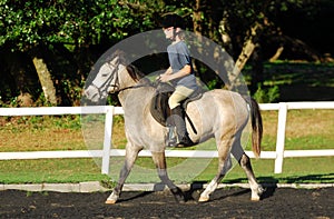 Girl in horse riding lesson photo