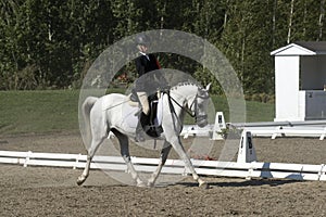 Girl horse riding