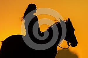 Girl and horse silhouette