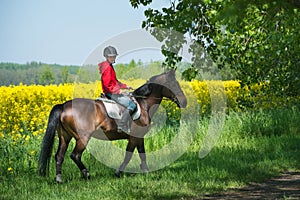 Girl on horseback riding