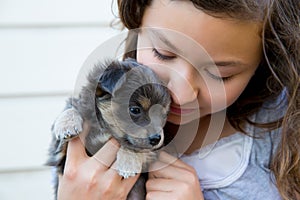 Girl hug a little puppy dog gray hairy chihuahua