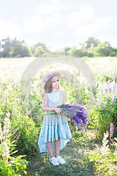 Girl with a huge bouquet of lupins in the field at sunrise. The concept of nature and romance. Happy childhood. Photo of summer wi