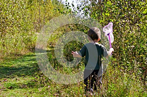 Girl hunting butterflies