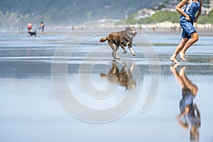 Girl in jeans runs with a dog on the water on the Pacific coast
