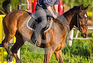 Girl jumping with horse