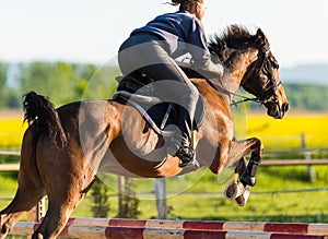 Girl jumping with horse