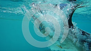 Girl jumping in swimming pool, underwater slow motion