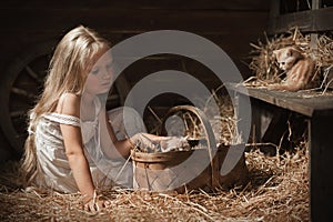 Girl with a kitten on hay