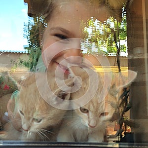 Girl with kittens looking through window