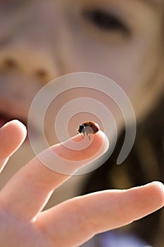 Girl and ladybug