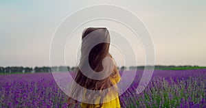 Girl in lavender flowers field at sunset in yellow dress enjoying blooming fields. France, Provence.