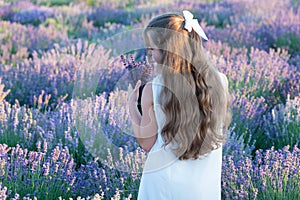 girl in lavender sunset with copy space. summer girl in lavender field enjoying freedom and nature. summer girl with of