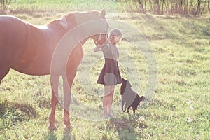 Girl leads her horse and stroking black dog