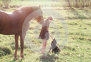 Girl leads her horse and stroking black dog