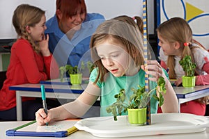 Girl learning about plants in school class