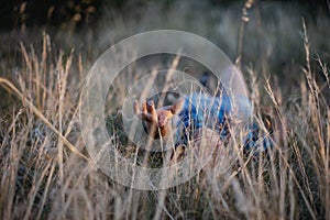 The girl lies in the grass at sunset. The end of the summer