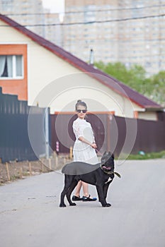 Girl in a light dress poses and holds a large black dog cane-corso on a leash
