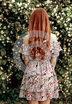 A girl in a light summer dress stands near a bird cherry bush on a hot summer day.