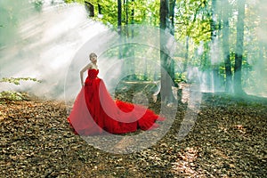 A girl in a long red dress and a royal crown