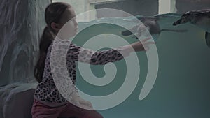 Girl look through glass in oceanarium at swimming penguins