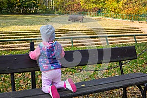 Girl looking at hippo in the zoo