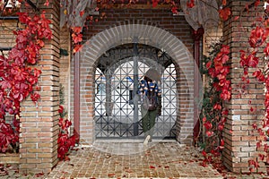 Girl looking inside from Decorative arched iron gateway through brick door