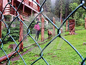 A girl looking at a locked chamois.