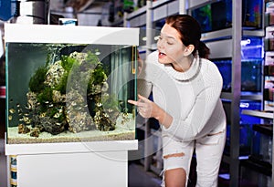 Girl looking at striped tropical fish in aquarium with rocks and seaweed inside