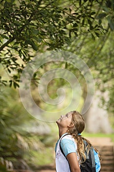 Girl Looking Up At Tree In Forest