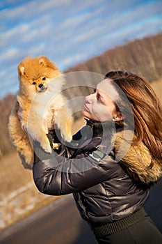 Girl looks up at the hands of puppy Spitz