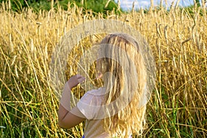 Girl with loose blond hair on the background of a wheat field on a summer farm. Summer, sun and warmth concept