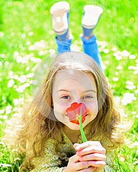 Girl lying on grass, grassplot on background. Tulip fragrance concept. Child enjoy spring sunny day while lying at photo