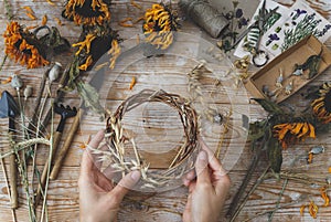 Girl making wreath in oats spikelets. Dried herbs and dried flowers for making herbarium