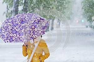 Girl with mauve umbrella walking in Snow Storm in April.