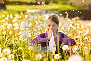 Prato un ettaro fieno febbre O allergie 