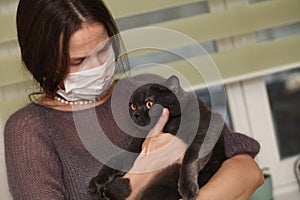 Girl medical mask on her face is holding British cat breed.toxoplasmosis protection against cat infection for humans