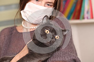 Girl medical mask on her face is holding British cat breed.toxoplasmosis protection against cat infection for humans