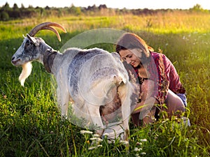 Girl milks a goat in a field