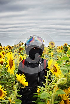 A girl in a motorcycle helmet stands in a field with sunflowers in non-sunny weather