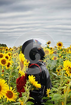 A girl in a motorcycle helmet stands in a field with sunflowers in non-sunny weather