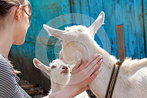 Girl near a goat and a little kid. Love for animals