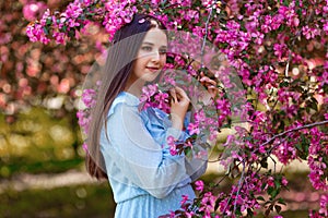 A girl , ong hair ,blue dress, stands near a pink blooming apple tree