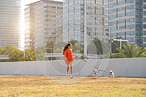 En naranja la ropa feliz correr dos pequeno mascotas 