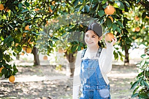 Girl and oranges, girl picks oranges, fruit orange grove, organic farm, Israel