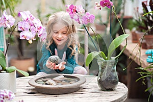 The girl in the orchid greenhouse is played with flowers and stones. Girl with blooming orchids holds stones
