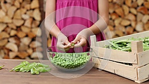 Girl outdoors shelling peas