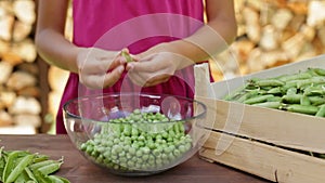 Girl outdoors shelling peas into a glass bowl